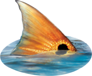 Jumping Redfish die cut fishing decal